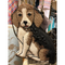 Mary Frances Regal Beagle Dog Puppy Pup Black White Special Gold Bag Handbag New