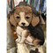 Mary Frances Regal Beagle Dog Puppy Pup Black White Special Gold Bag Handbag New