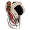 Mary Frances In Tune Ivory Pink Floral 3D Violin Handbag Crossbody Bag Purse NEW