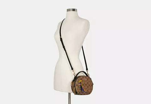 Coach Jean Michel Basquiat Signature Canteen Canvas Handbag Bag Brown Purse NEW