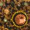 Mary Frances Starry Night Stone Beaded Clutch Handbag Purse Bag Black New