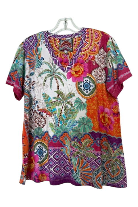 Johnny Was Janie Favorite Avelar Short V Neck Tee Floral Shirt Beige Pink Top NEW