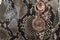 Michael Kors Cynthia SMALL Leather Satchel BLOSSOM/PYTHON